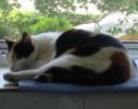 Lucy